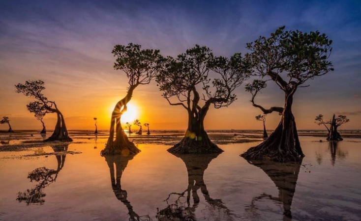 Sunset at Walakiri Beach tur