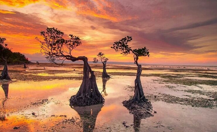 Tour Walakiri Beach