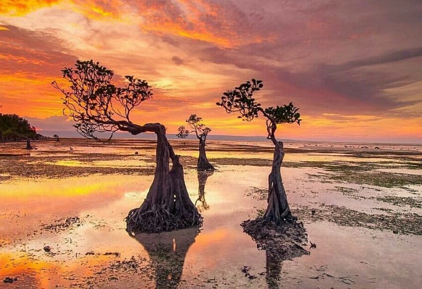 Tour Walakiri Beach