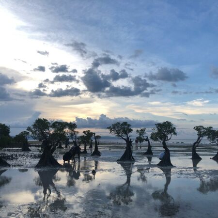 pantai walakiri sumba trip