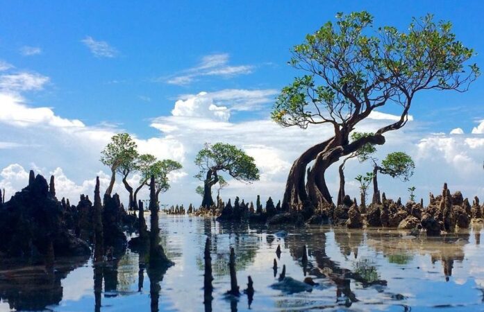 pantai walakiri tour trip sumba