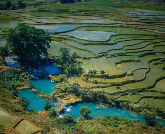 tour travel waekelo sawah