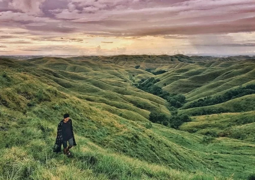 tour guide sumba